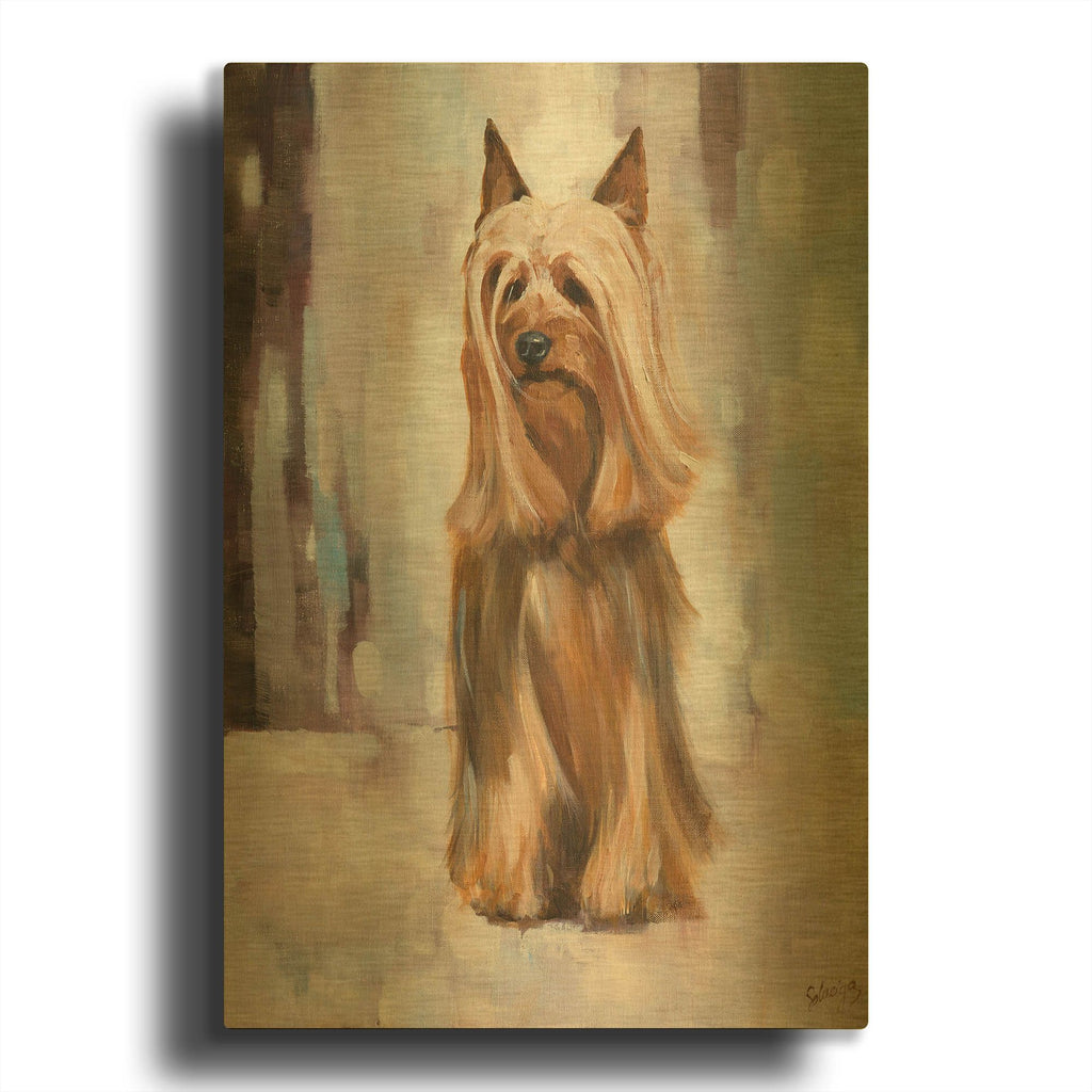 'Silky Terrier I' By Solveiga Gold Metal Wall Art