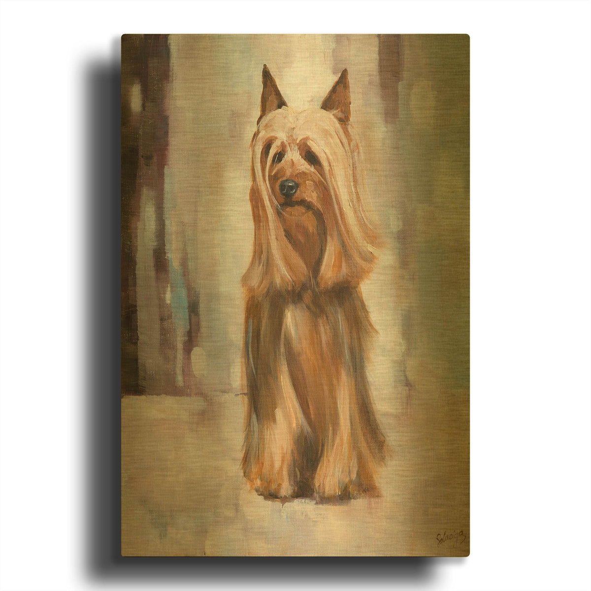 'Silky Terrier I' By Solveiga Gold Metal Wall Art
