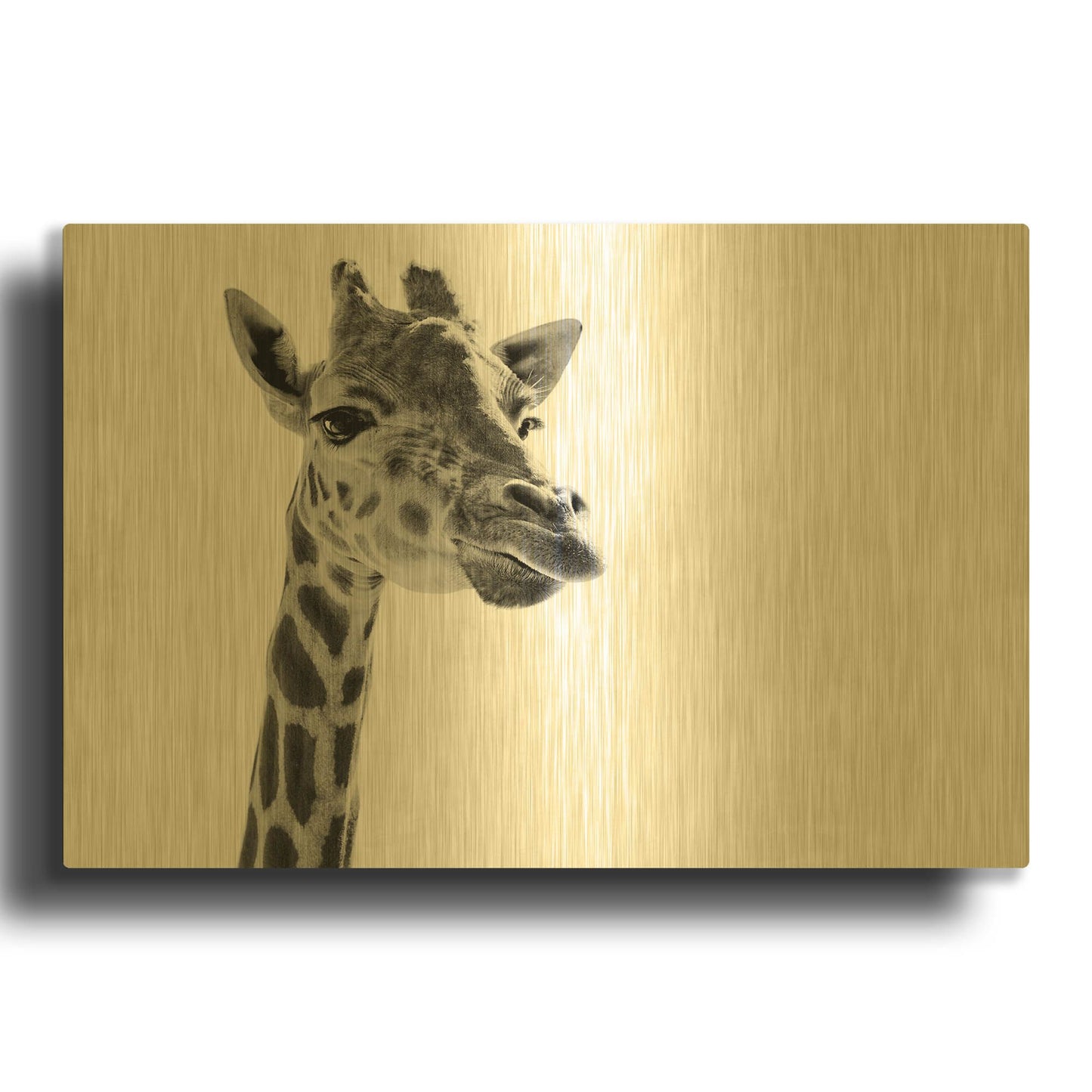 'Giraffe Expressionism' By SD Smart Gold Metal Wall Art