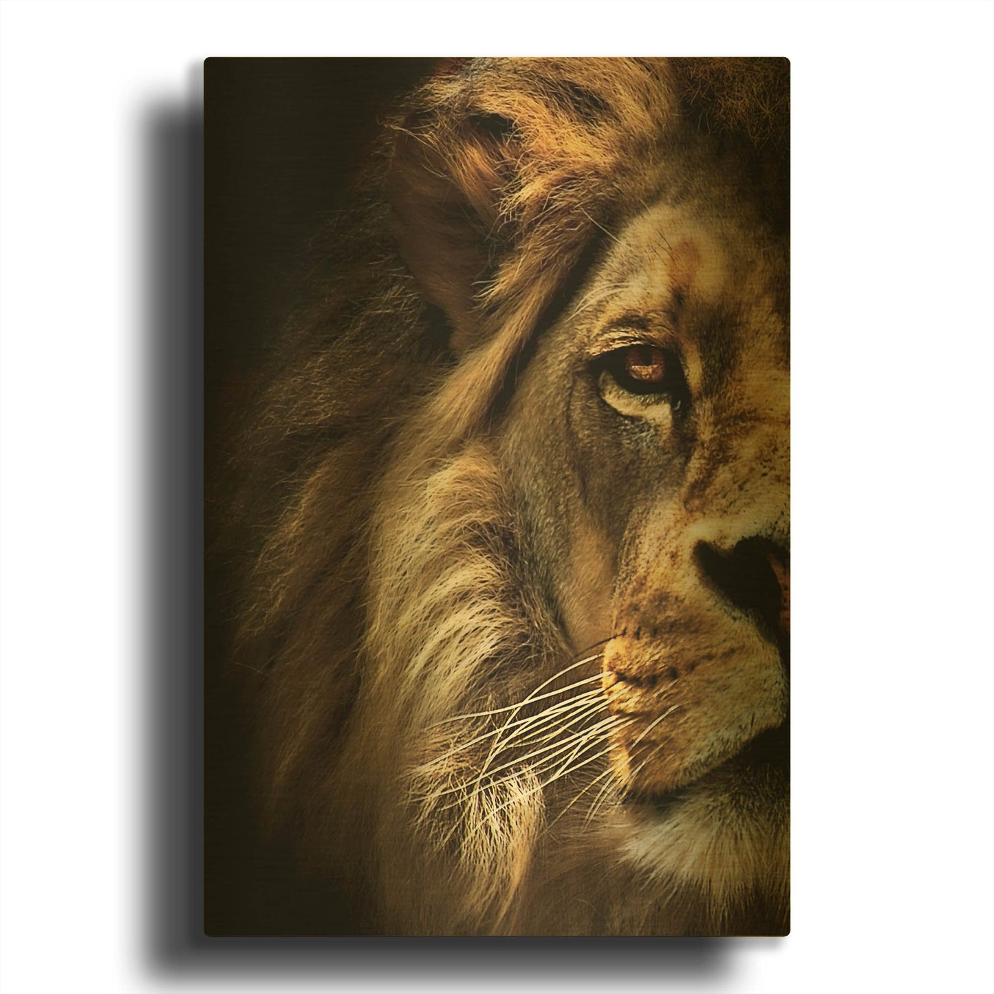 'Majestic Dominance' By SD Smart Gold Metal Wall Art