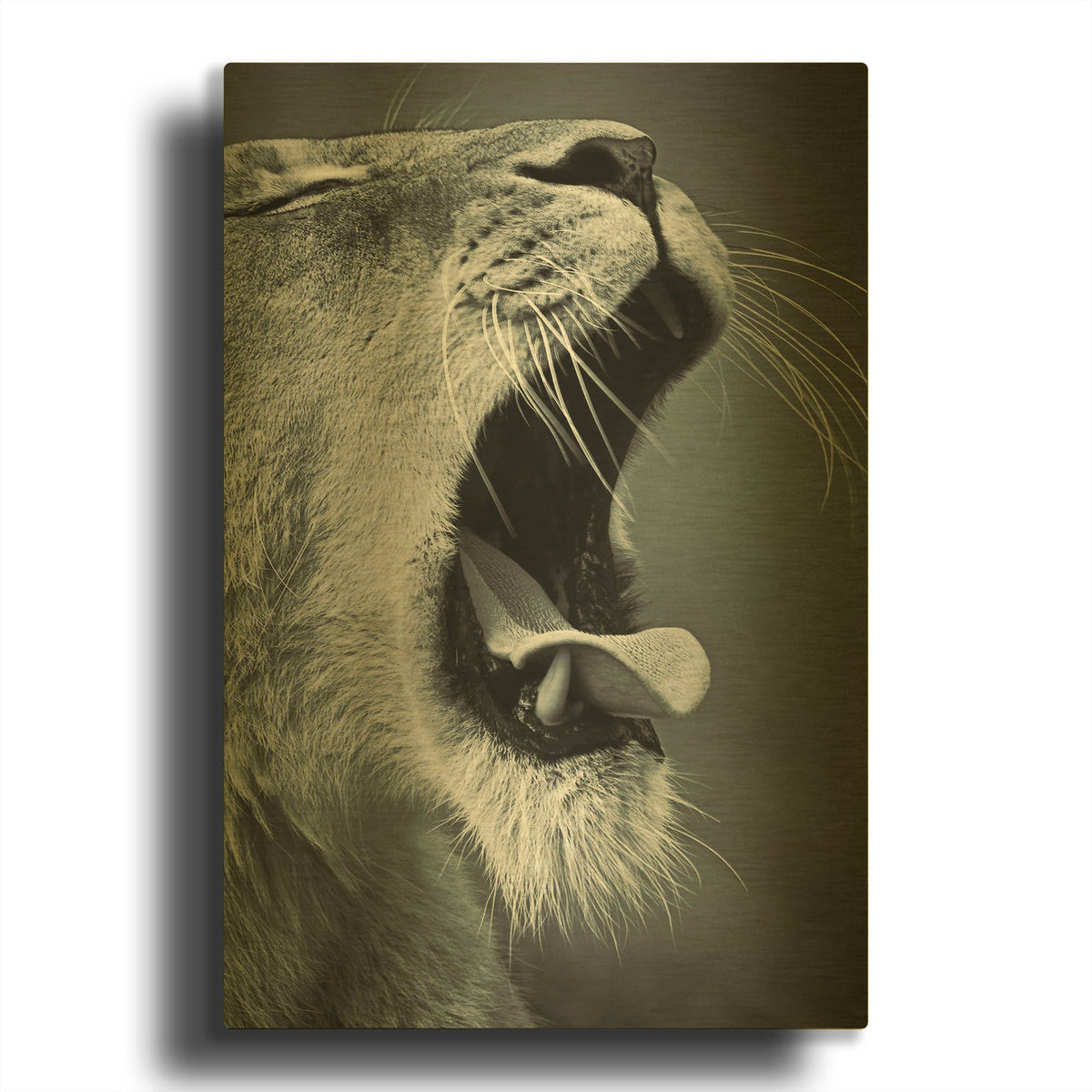 'Yawn' By SD Smart Gold Metal Wall Art