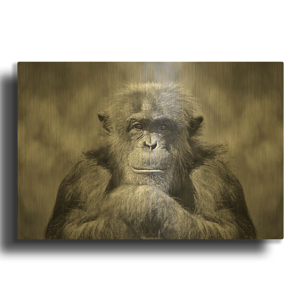 'Chimp' By SD Smart Gold Metal Wall Art