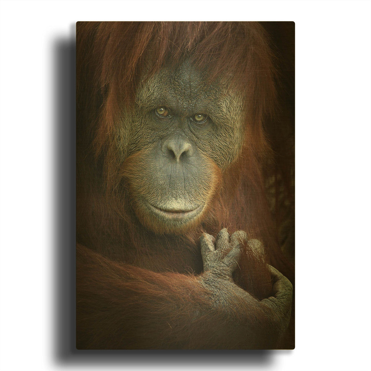 'Emotion' By SD Smart Gold Metal Wall Art