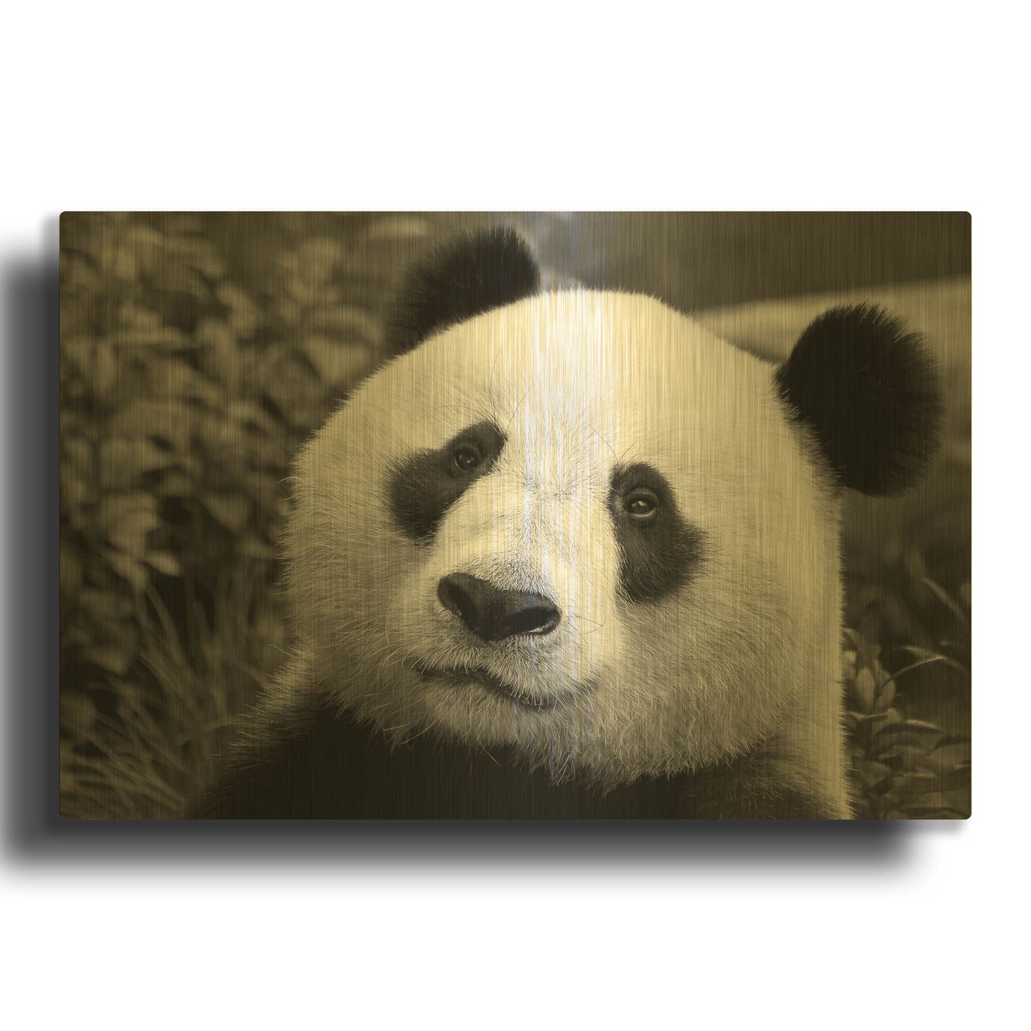 'Giant Panda' By SD Smart Gold Metal Wall Art