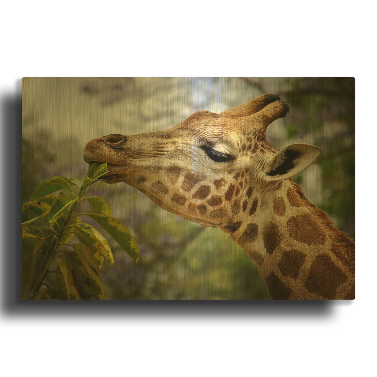 'Giraffe' By SD Smart Gold Metal Wall Art
