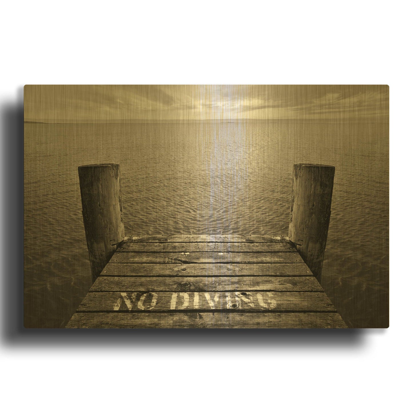 'No Diving' By SD Smart Gold Metal Wall Art