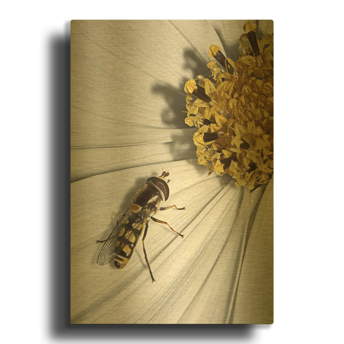 'One' By SD Smart Gold Metal Wall Art