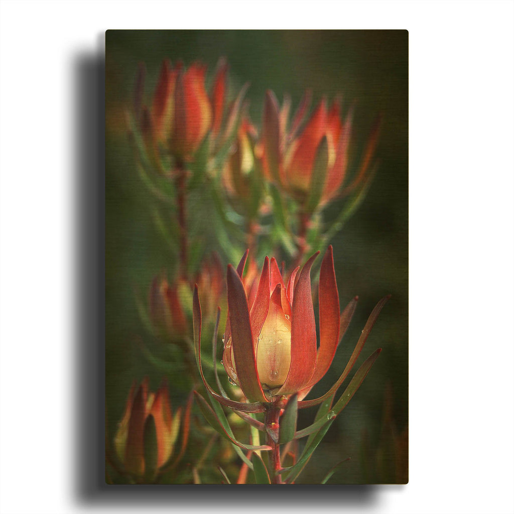 'Two' By SD Smart Gold Metal Wall Art