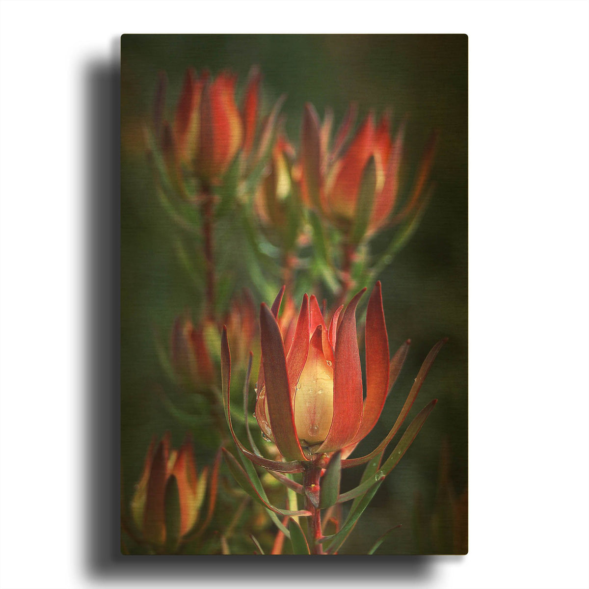 'Two' By SD Smart Gold Metal Wall Art