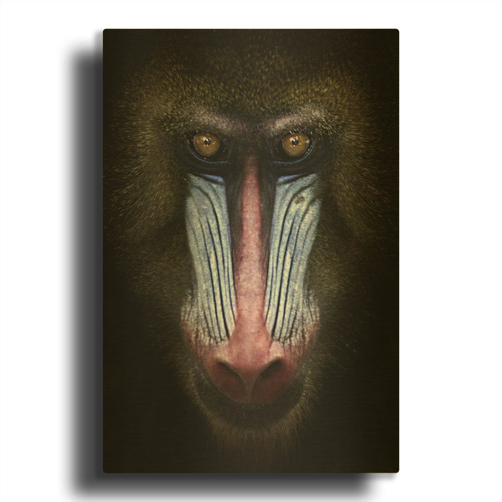 'Mandrill' By SD Smart Gold Metal Wall Art