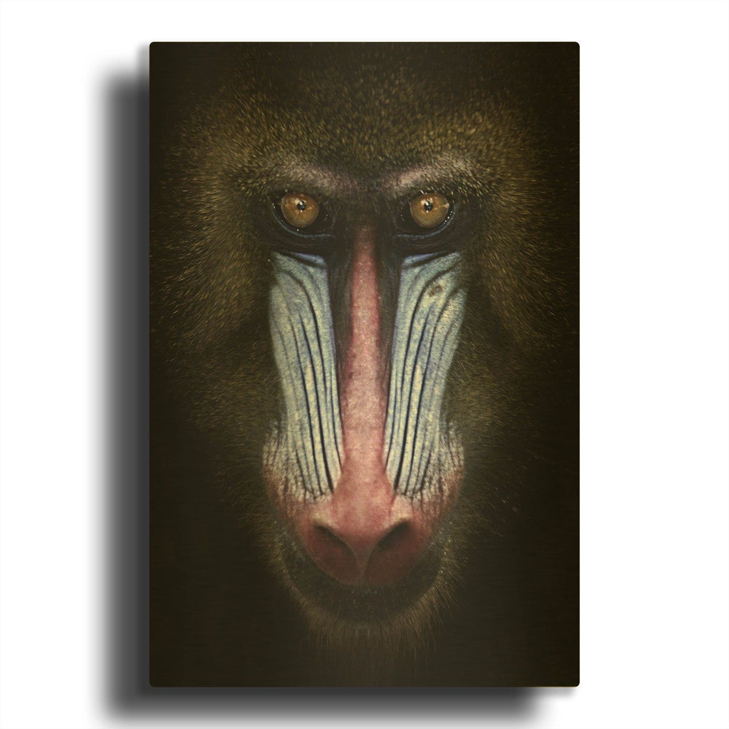 'Mandrill' By SD Smart Gold Metal Wall Art