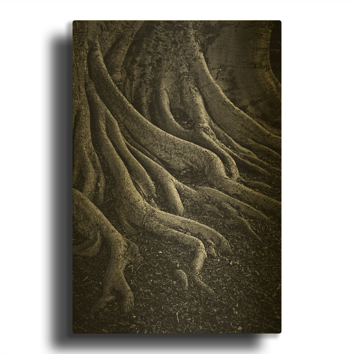 'Entrenched' By SD Smart Gold Metal Wall Art