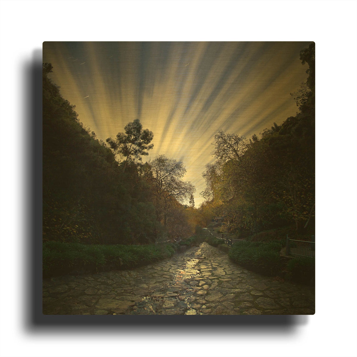 'Utopia' By SD Smart Gold Metal Wall Art
