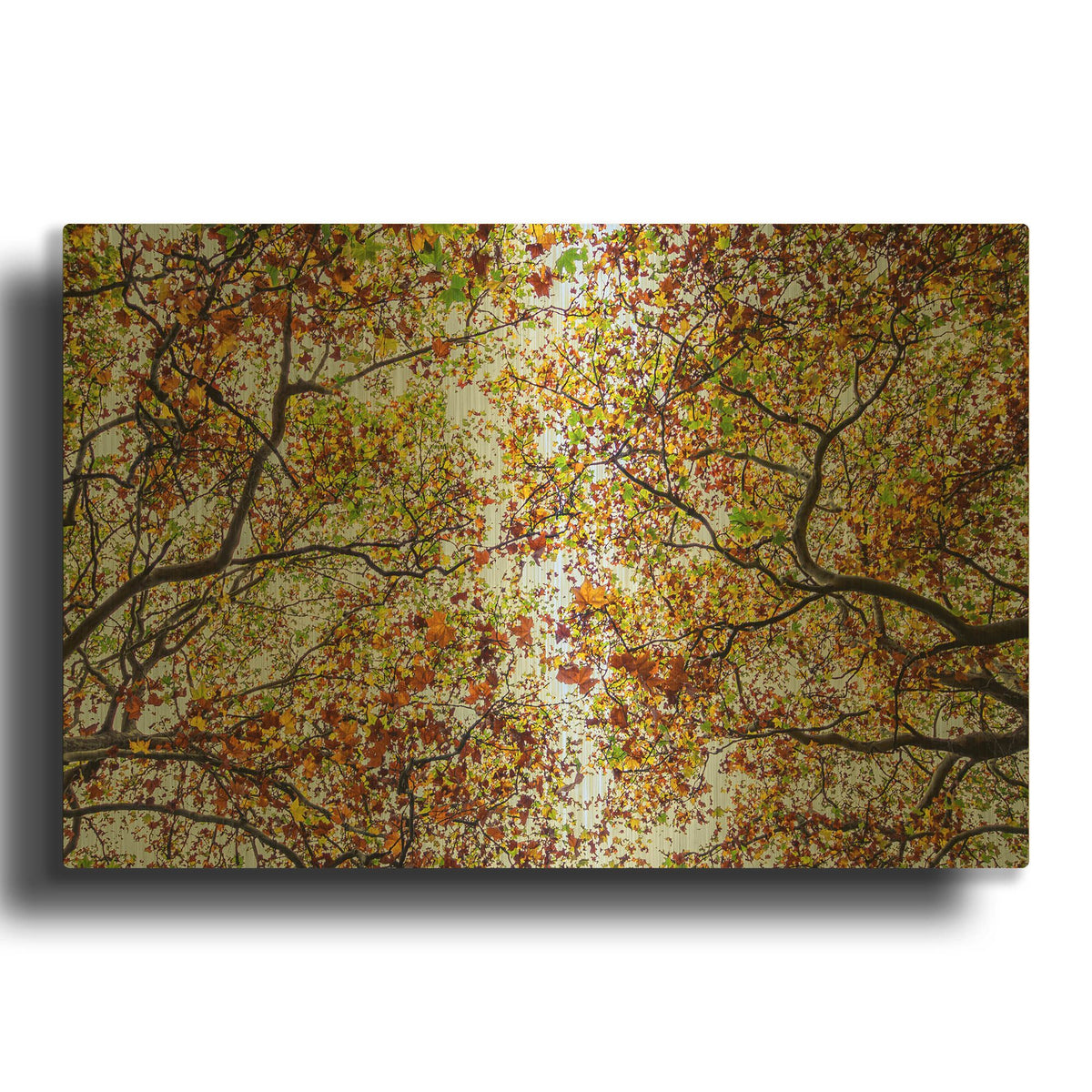 'Autumn Colors' By SD Smart Gold Metal Wall Art