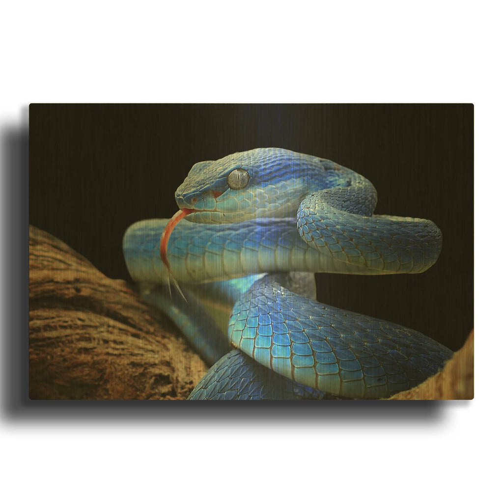 'Blue Viper Snake' By Luxe Gold Metal Wall Art