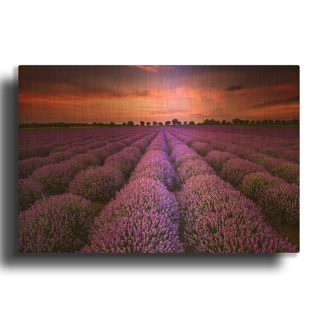 'Lavender Fields' By Luxe Gold Metal Wall Art