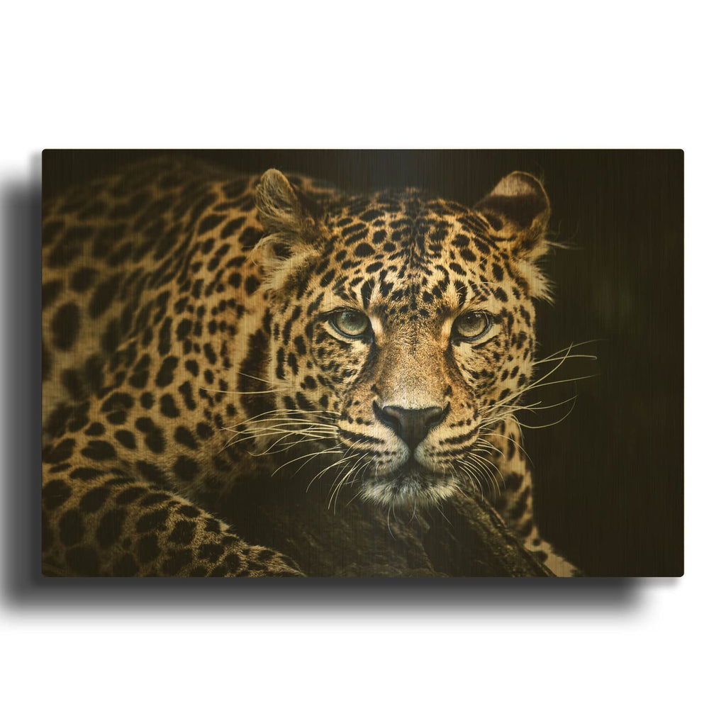 'Leopard on the Hunt' By Luxe Gold Metal Wall Art