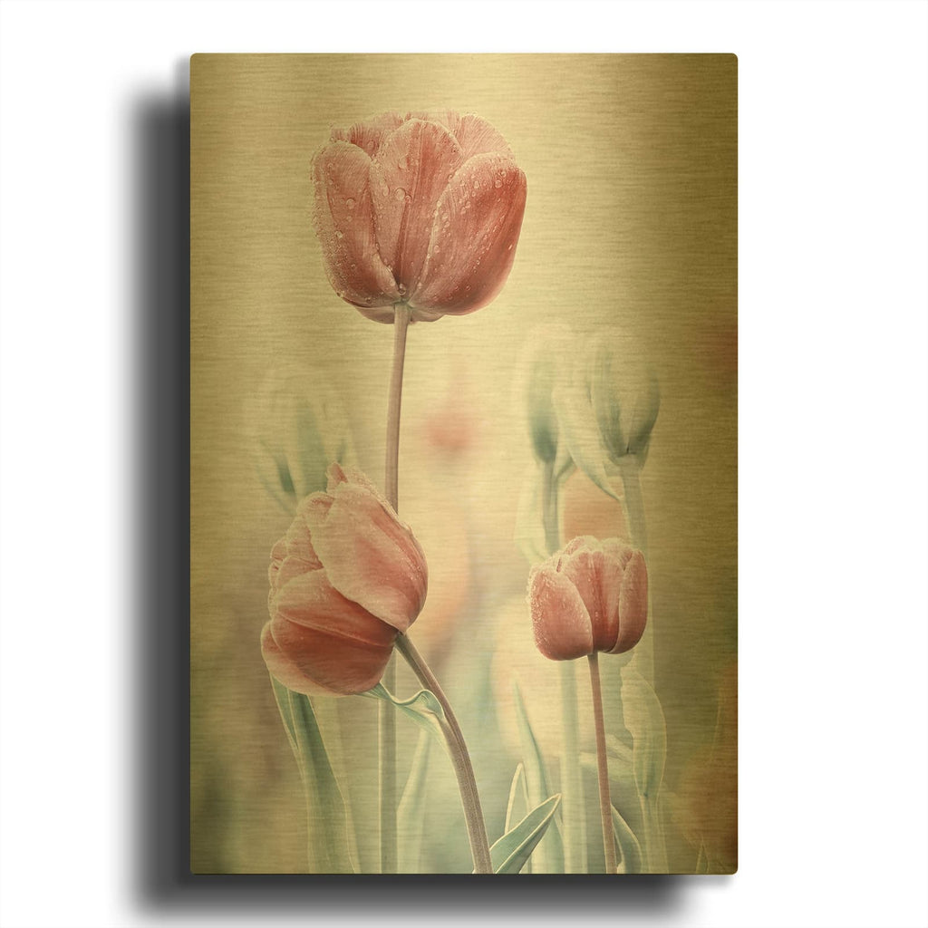 'Pink and White Tulips' By Luxe Gold Metal Wall Art