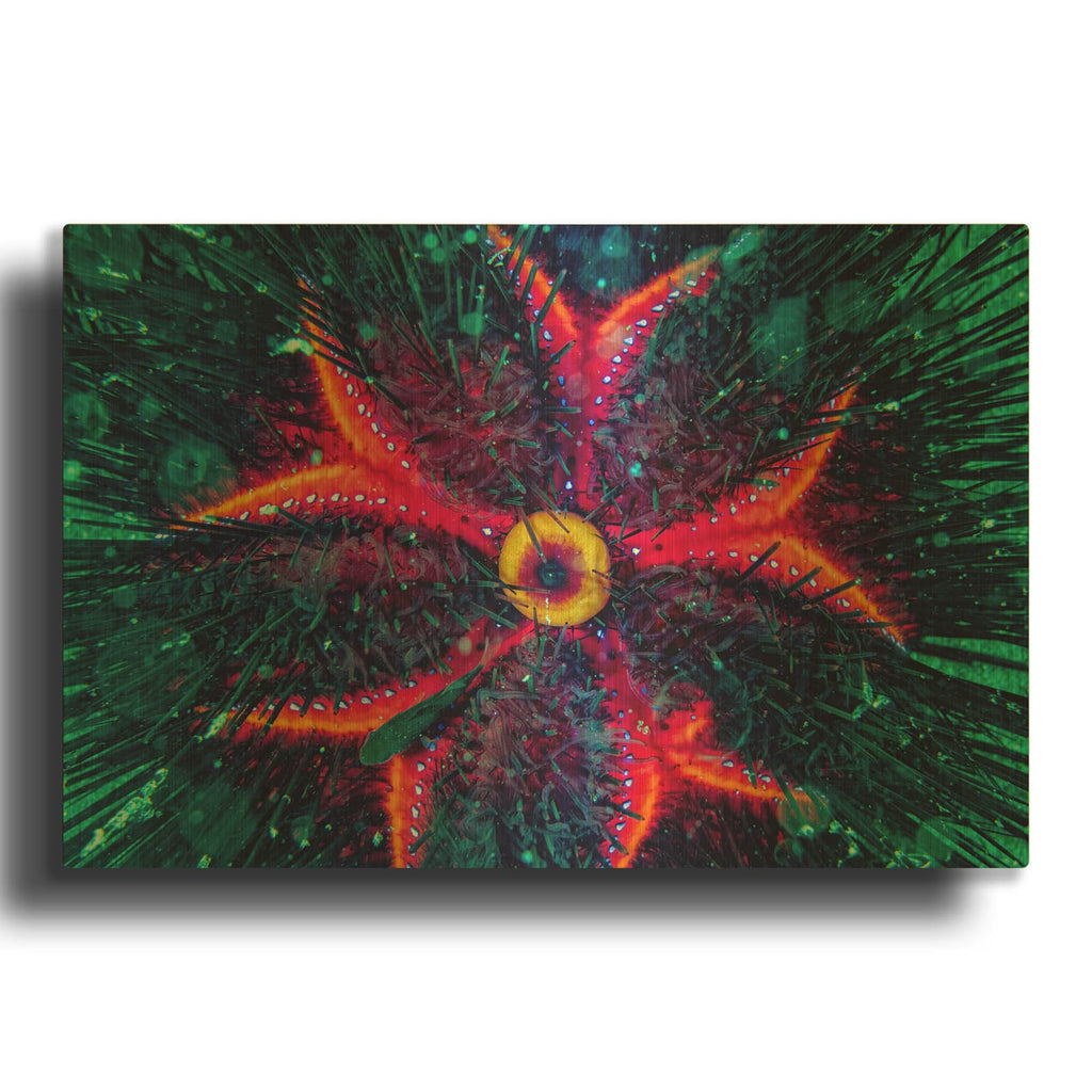 'Sea Urchin Underwater' By Luxe Gold Metal Wall Art