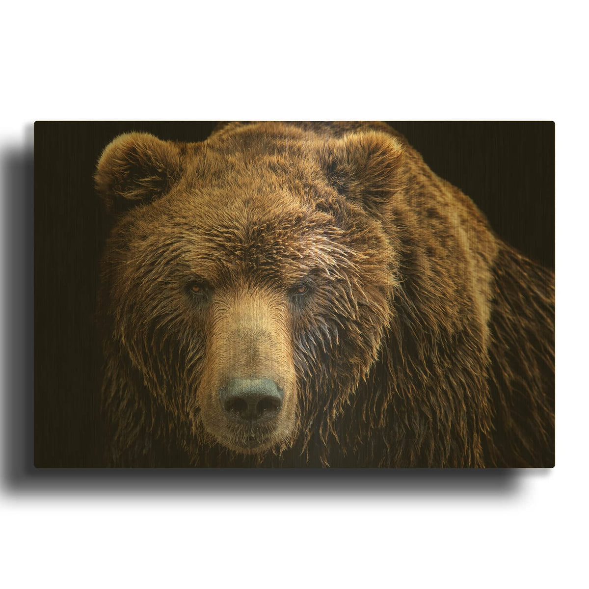 'Brown Bear' By Luxe Gold Metal Wall Art