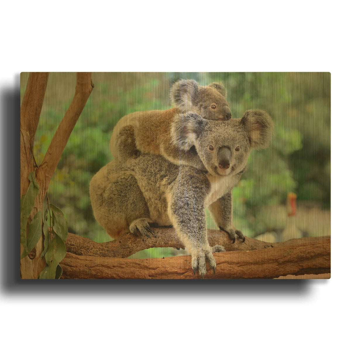 'Koala' By Luxe Gold Metal Wall Art