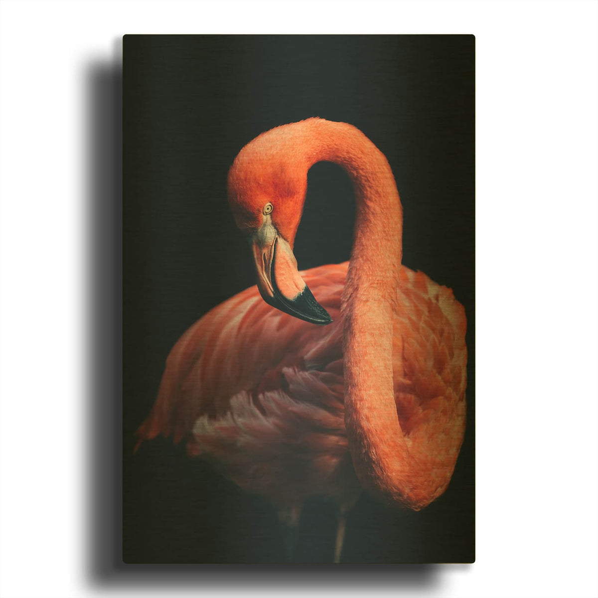 'Pink Flamingo' By Luxe Gold Metal Wall Art