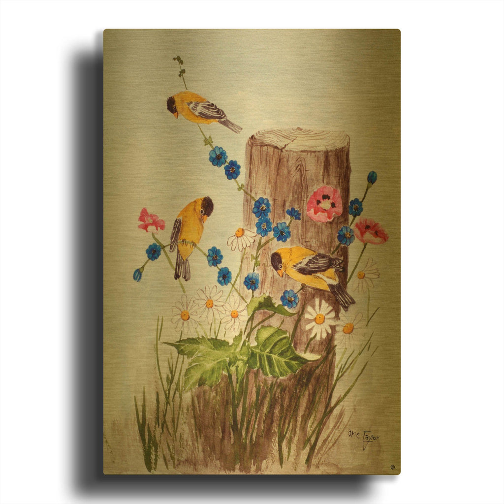 'American Goldfinch 3' By Arie Reinhardt Taylor Gold Metal Wall Art
