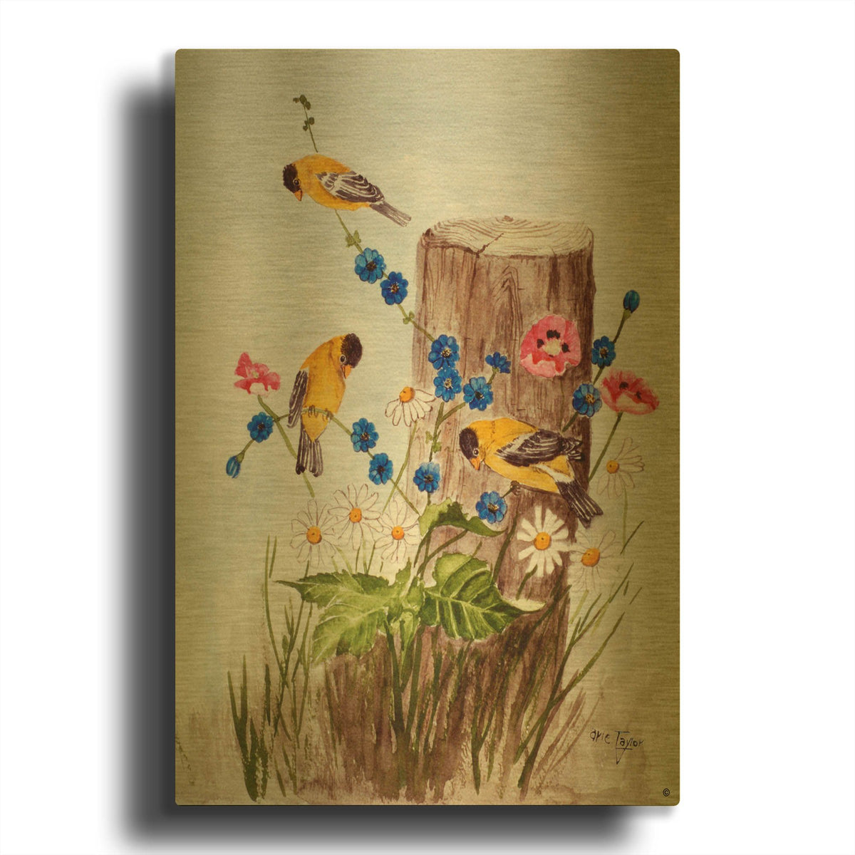 'American Goldfinch 3' By Arie Reinhardt Taylor Gold Metal Wall Art