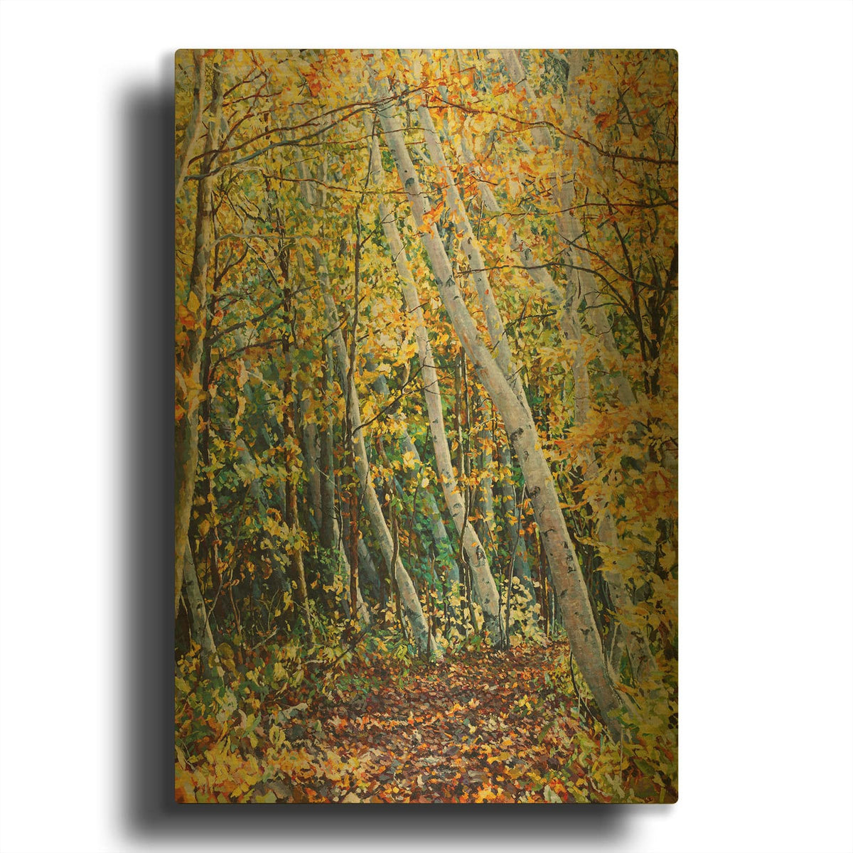 'Birch Path' By Joanne Towers Gold Metal Wall Art