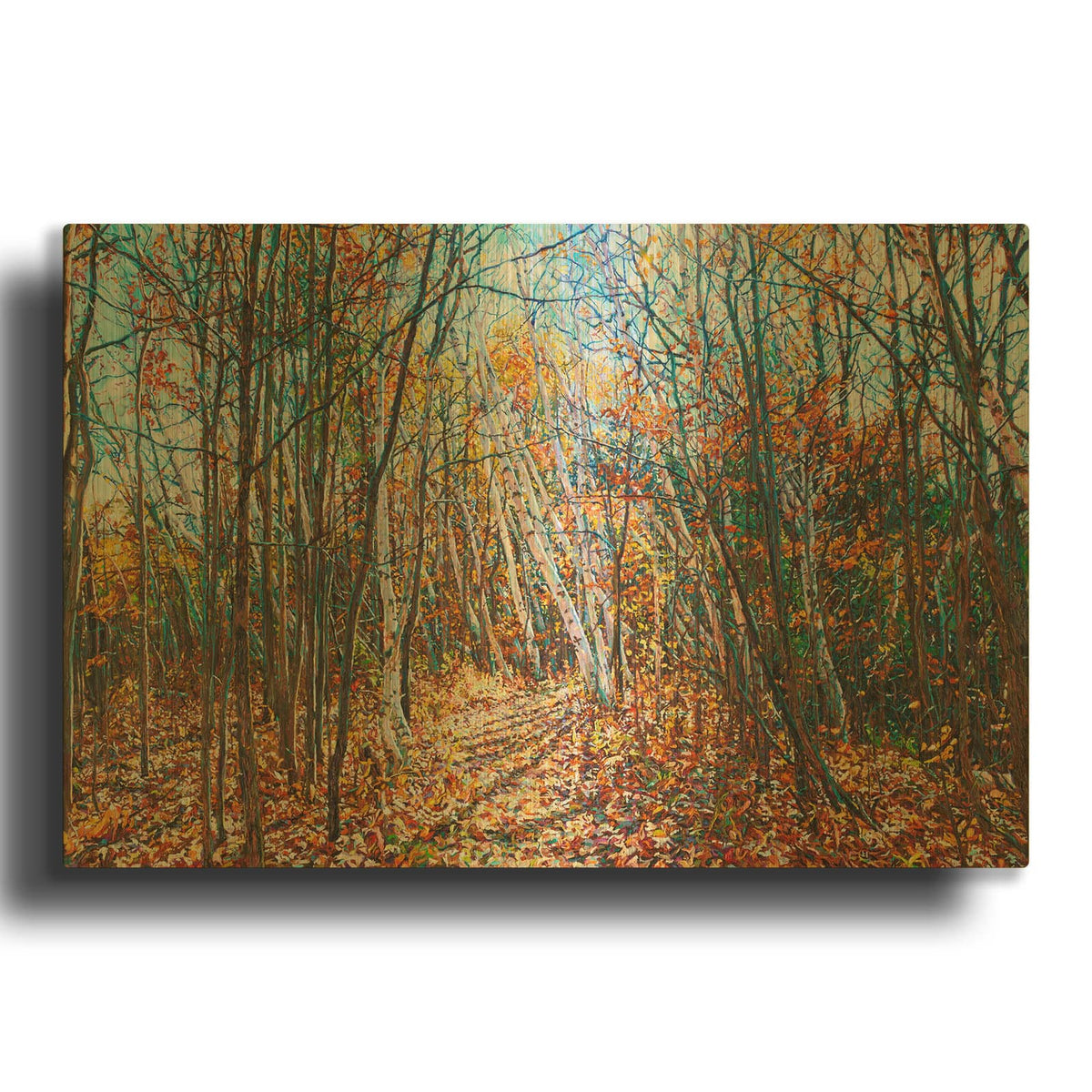 'Fall Forest Trail through the Birch' By Joanne Towers Gold Metal Wall Art