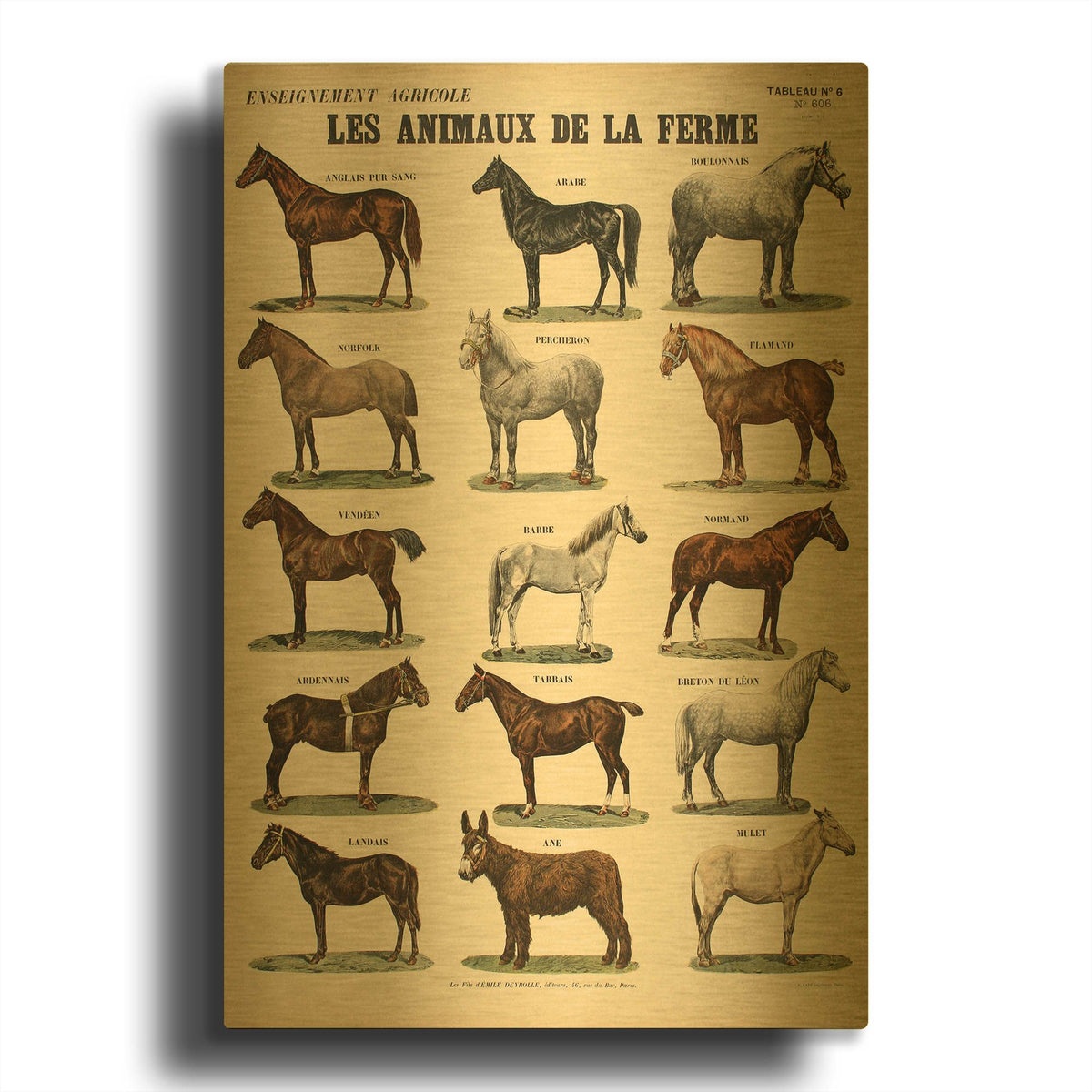 'Animaux de La Ferme' By Vintage Posters Gold Metal Wall Art