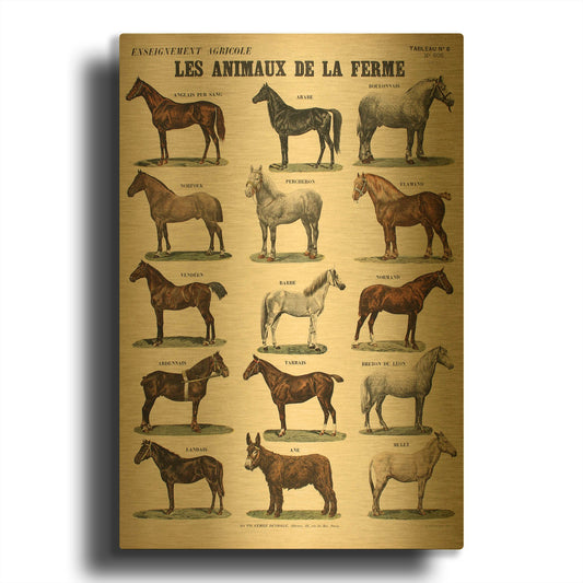 'Animaux de La Ferme' By Vintage Posters Gold Metal Wall Art