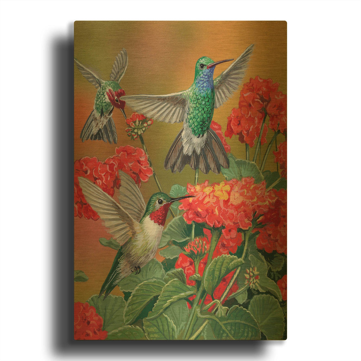 'Hummingbirds & Flowers' By William Vanderdasson Gold Metal Wall Art