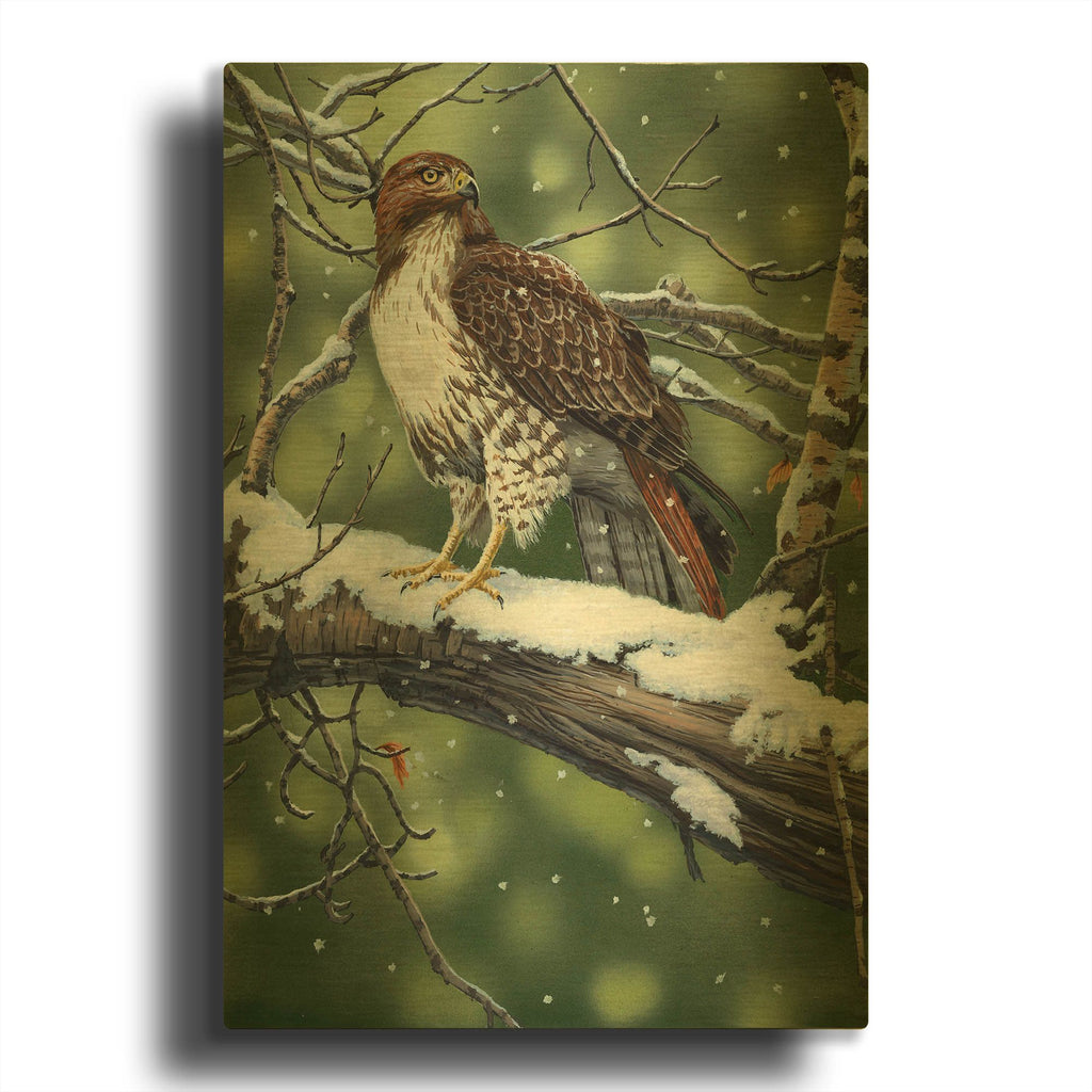 'Red Tailed Hawk' By William Vanderdasson Gold Metal Wall Art