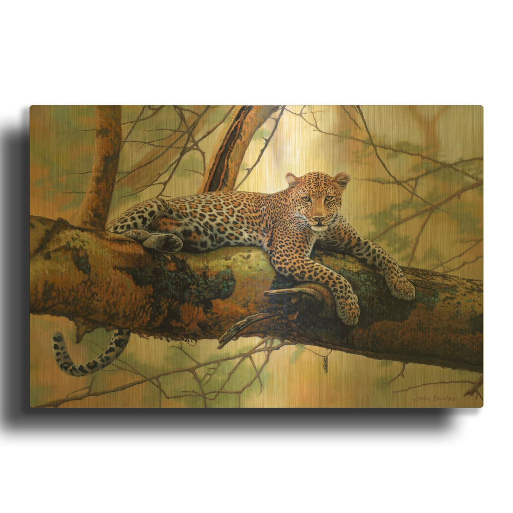 'African Leopard' By John Zaccheo Gold Metal Wall Art