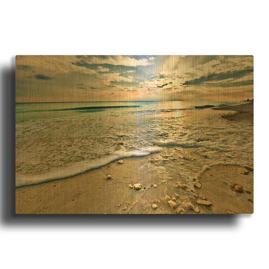 'Emerald Green Shell Covered Beach Sunset' By Ezra Tanner Gold Metal Wall Art