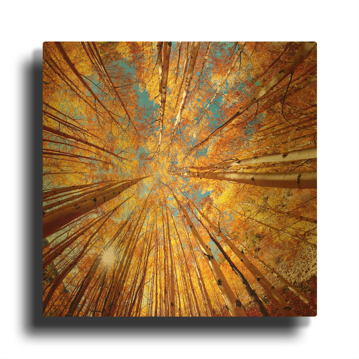 'Colorado Autumn Splendor' By Lena Owens Gold Metal Wall Art