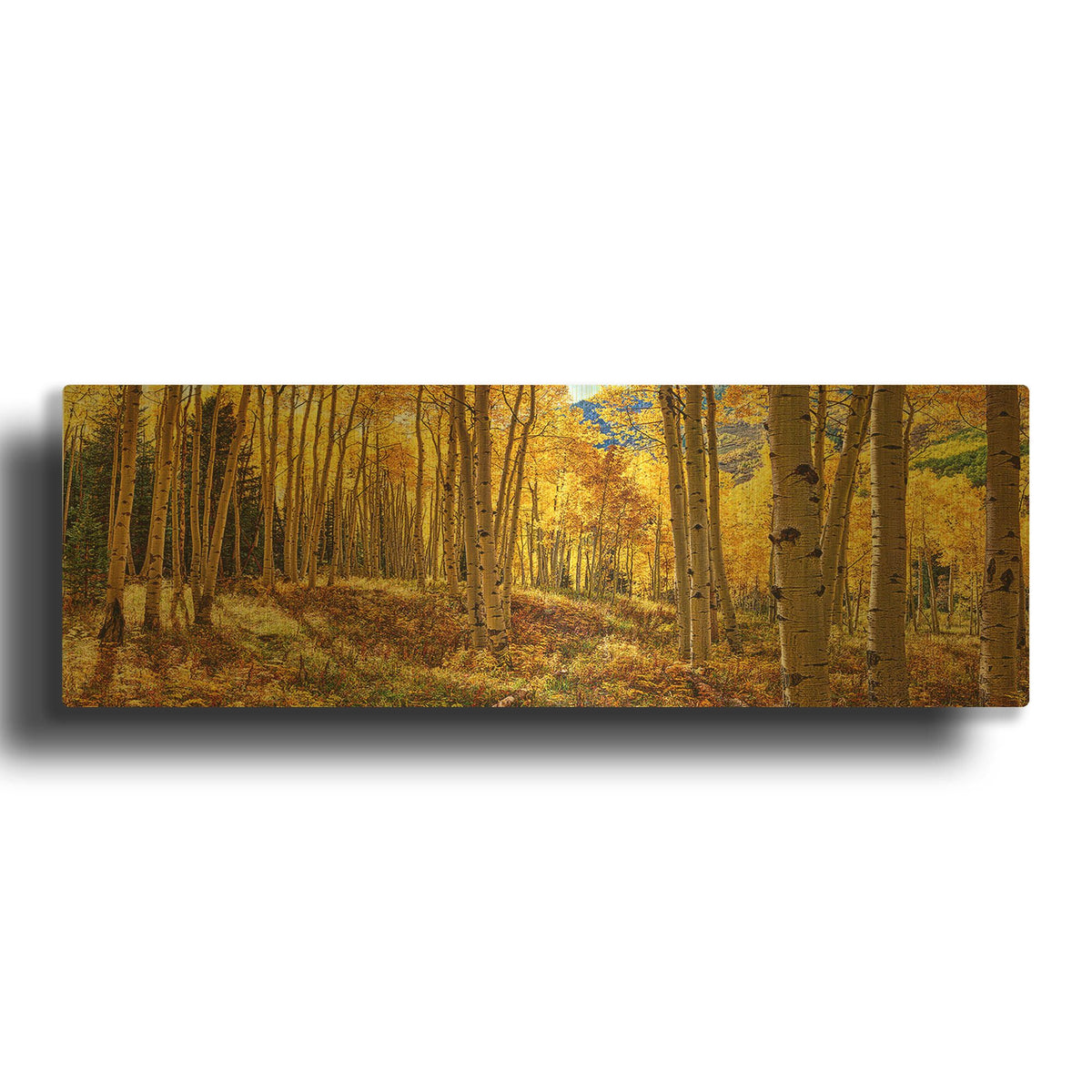 'Autumn Aspen Forest Colorado Panorama' By Lena Owens Gold Metal Wall Art
