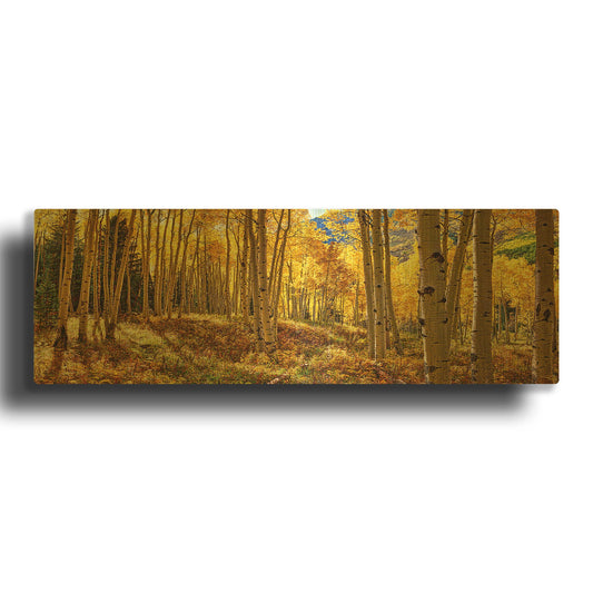 'Autumn Aspen Forest Colorado Panorama' By Lena Owens Gold Metal Wall Art