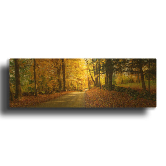 'Countryside Road Woodstock Vermont Panorama' By Lena Owens Gold Metal Wall Art
