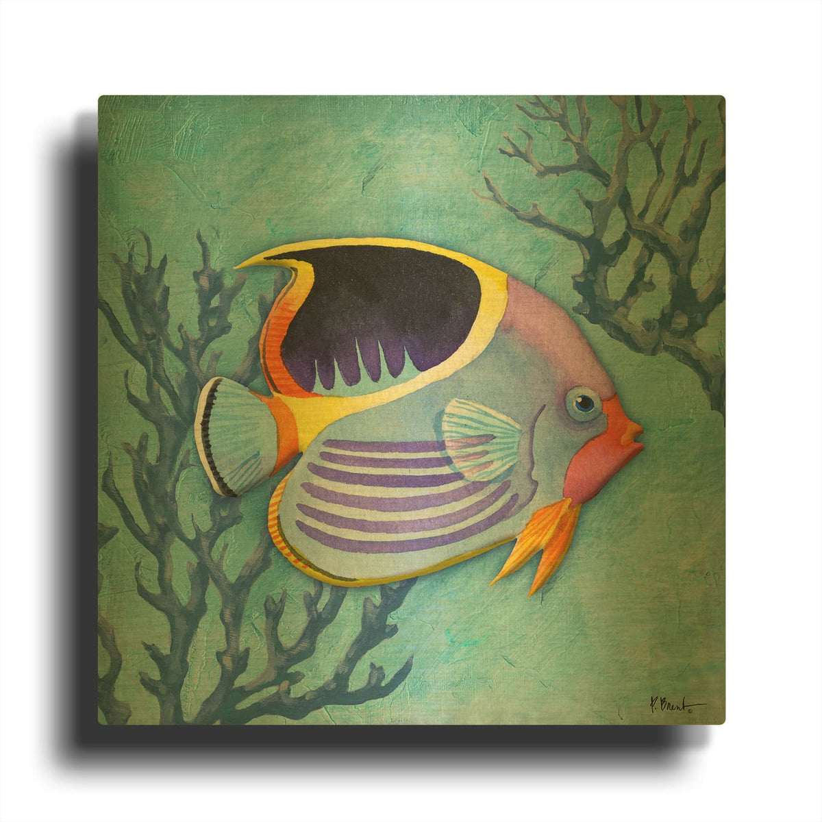 'Azure Tropical Fish I' By Paul Brent Gold Metal Wall Art
