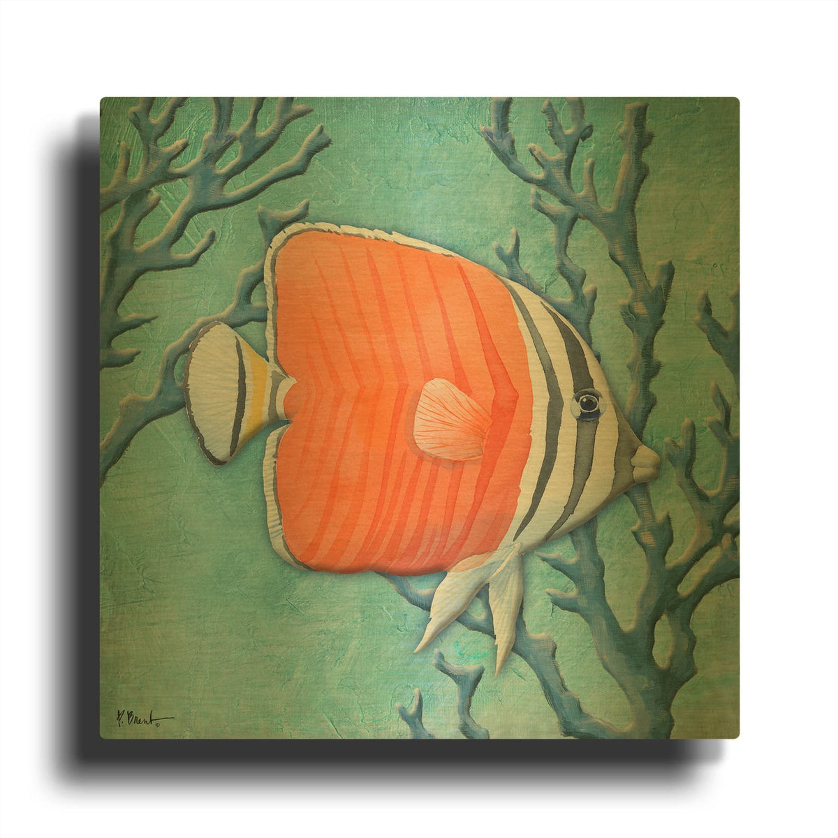 'Azure Tropical Fish IV' By Paul Brent Gold Metal Wall Art