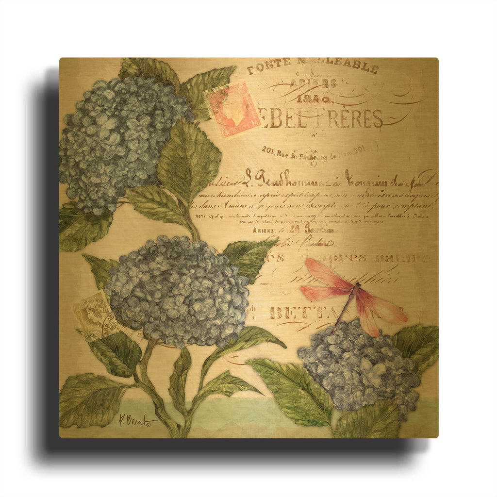 'Parisian Hydrangeas I' By Paul Brent Gold Metal Wall Art