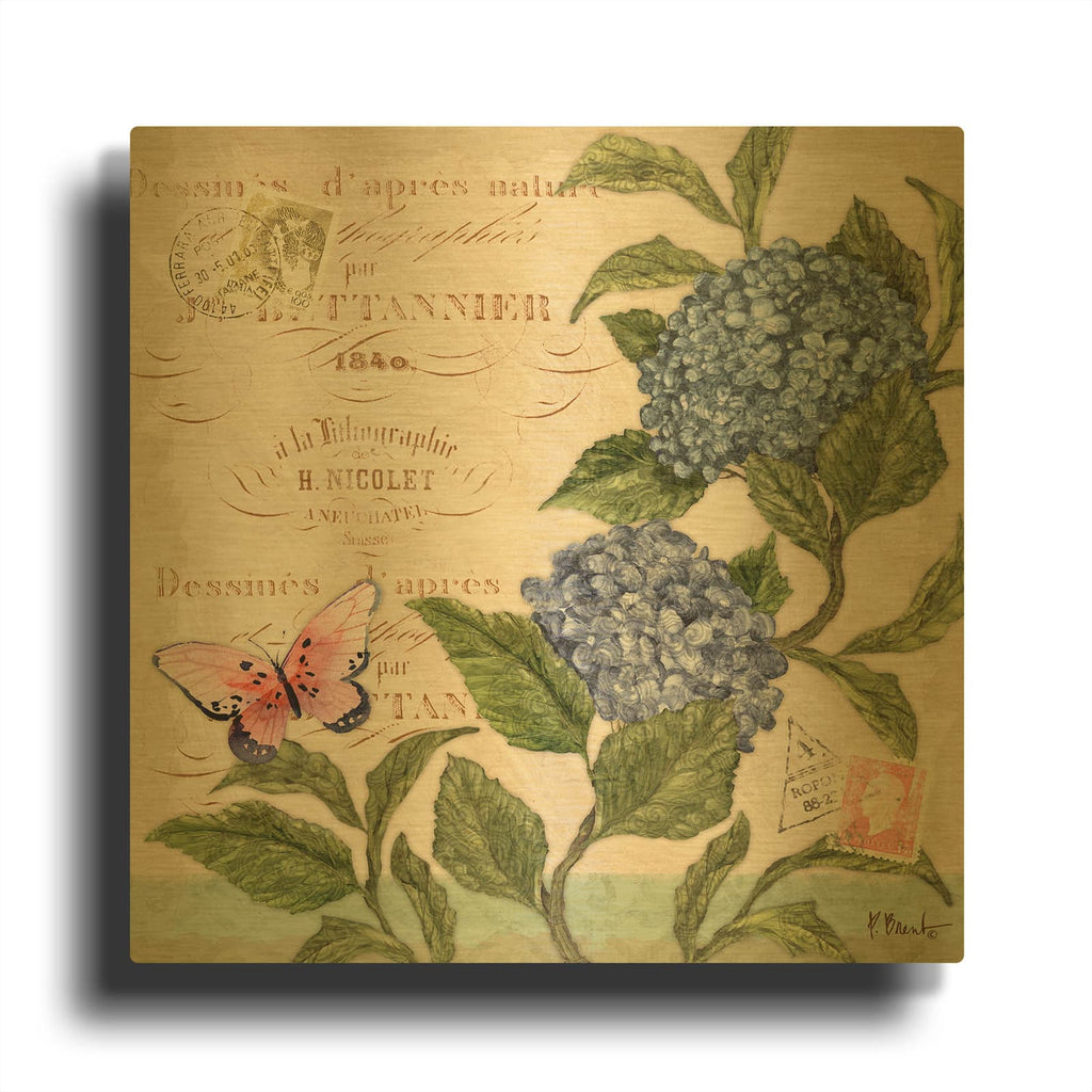 'Parisian Hydrangeas II' By Paul Brent Gold Metal Wall Art