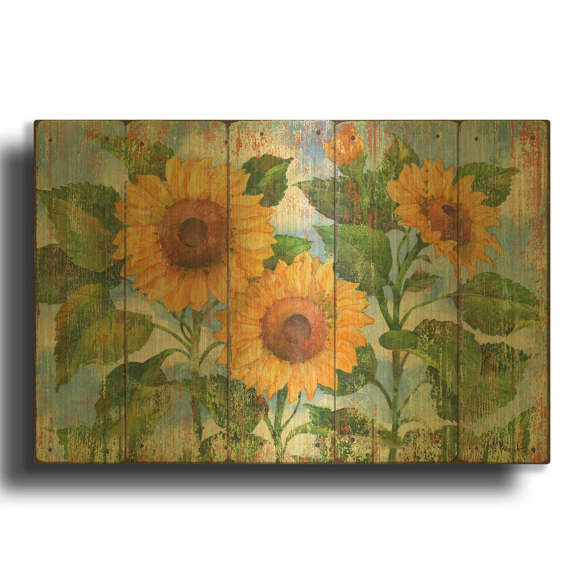'Summer Sunflowers - Distressed' By Paul Brent Gold Metal Wall Art