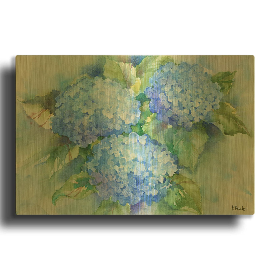 'Sky Blue Hydrangea' By Paul Brent Gold Metal Wall Art