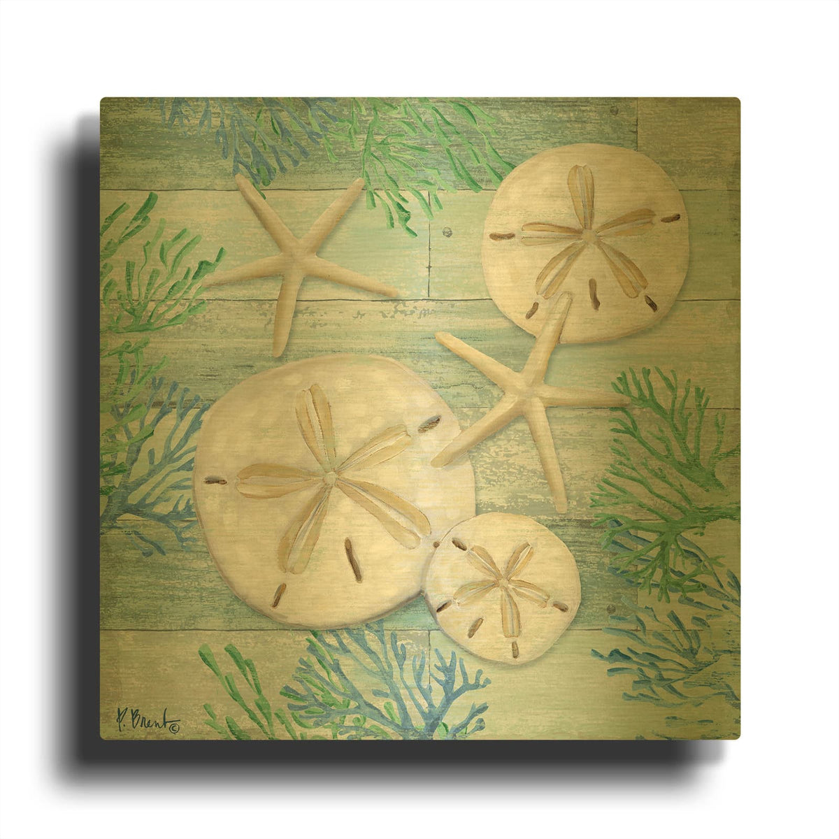 'Clearwater Shells I' By Paul Brent Gold Metal Wall Art