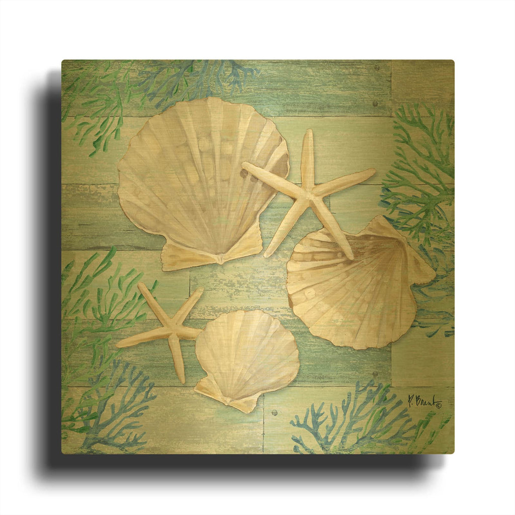 'Clearwater Shells IV' By Paul Brent Gold Metal Wall Art