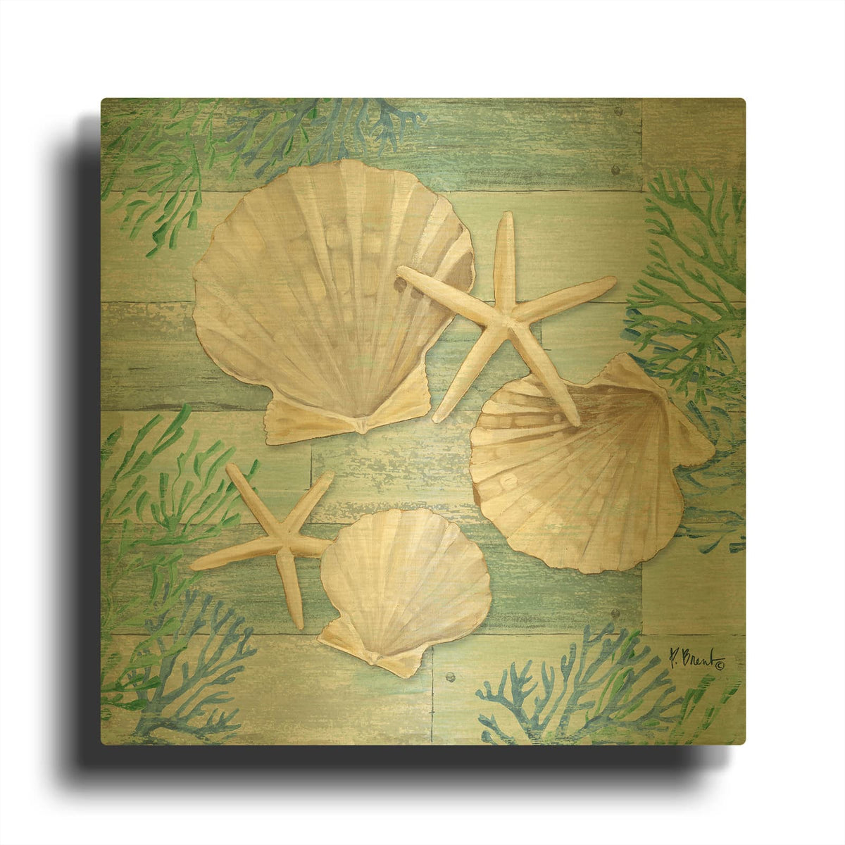 'Clearwater Shells IV' By Paul Brent Gold Metal Wall Art