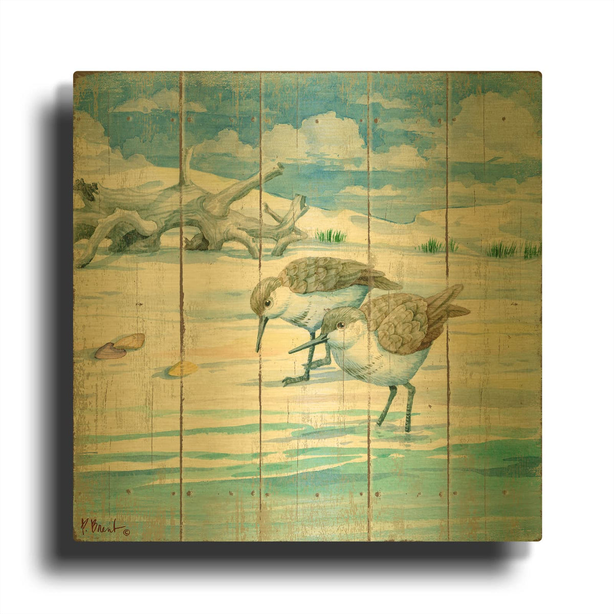 'Shoreline Sandpipers II' By Paul Brent Gold Metal Wall Art